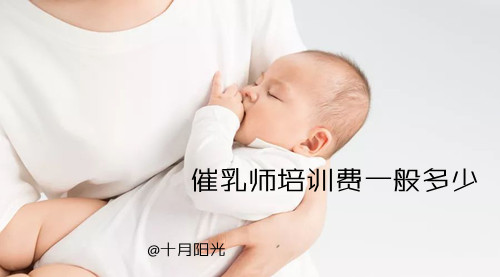 催乳师培训费一般多少 十月阳光